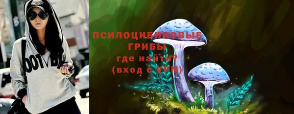 Альфа ПВП Строитель