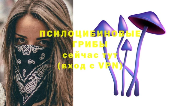 бошки Ступино