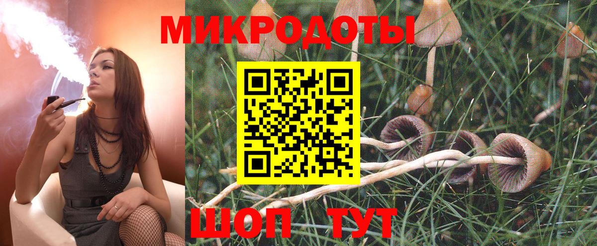 наркошоп  Таганрог  Галлюциногенные грибы Psilocybine cubensis  Псилоцибиновые грибы мухоморы 