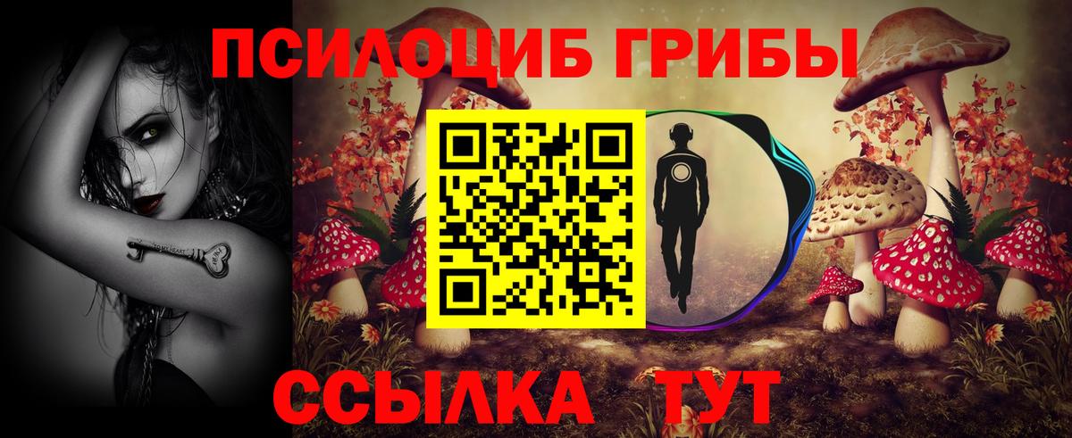 Псилоцибиновые грибы мицелий Таганрог
